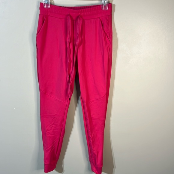 Buffbunny Collection Pants - BuffBunny Jasmine Joggers pink size small